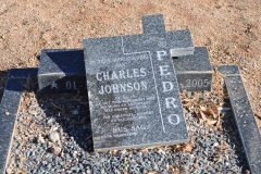 Pedro, Charles Johnson