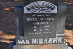 Van Niekerk, Bertie Albertus Johannes