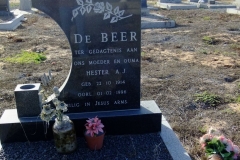 De Beer, Hester A.J.