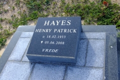 Hayes, Henry Patrick