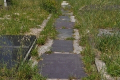 Somerset-Road-Cemetery-Ancestors-South-Africa-001