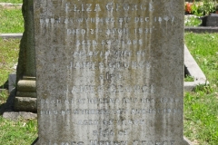 George, Eliza