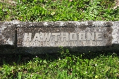 Hawthorne